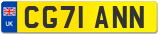 CG71 ANN