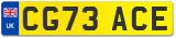 CG73 ACE