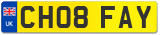 CH08 FAY