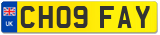 CH09 FAY