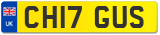 CH17 GUS