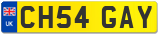 CH54 GAY