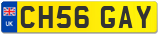 CH56 GAY