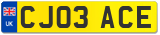 CJ03 ACE