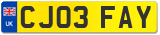 CJ03 FAY