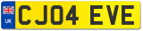 CJ04 EVE