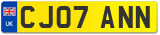 CJ07 ANN