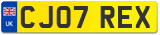 CJ07 REX