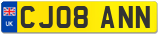 CJ08 ANN