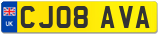 CJ08 AVA