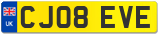CJ08 EVE