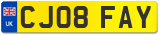 CJ08 FAY