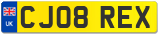 CJ08 REX
