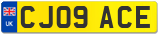 CJ09 ACE