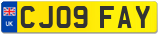 CJ09 FAY