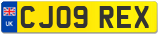 CJ09 REX