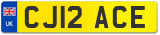 CJ12 ACE