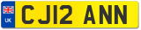 CJ12 ANN