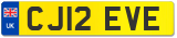 CJ12 EVE