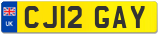 CJ12 GAY