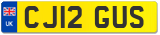 CJ12 GUS