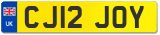 CJ12 JOY