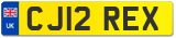CJ12 REX