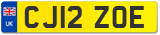 CJ12 ZOE