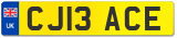 CJ13 ACE