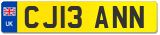 CJ13 ANN