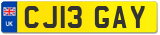 CJ13 GAY