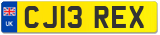 CJ13 REX