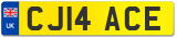 CJ14 ACE