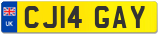 CJ14 GAY