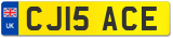 CJ15 ACE