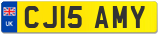 CJ15 AMY
