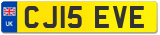 CJ15 EVE