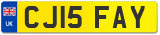 CJ15 FAY