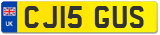 CJ15 GUS