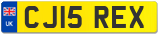 CJ15 REX