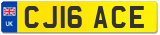 CJ16 ACE