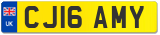 CJ16 AMY