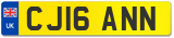 CJ16 ANN