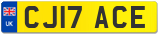 CJ17 ACE