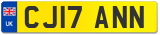 CJ17 ANN