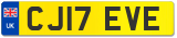 CJ17 EVE