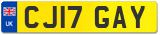 CJ17 GAY