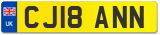 CJ18 ANN