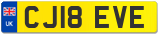 CJ18 EVE