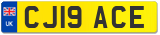 CJ19 ACE